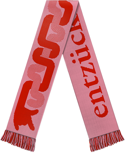 "entzück dich selbst" scarf (pink/red)