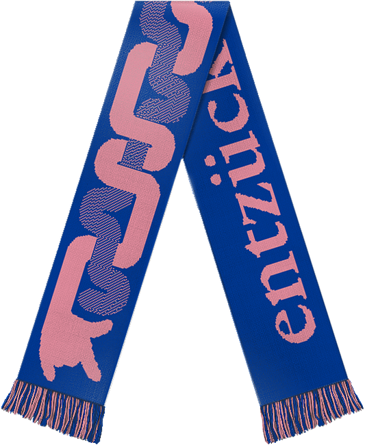 "entzück dich selbst" scarf (blue/pink)